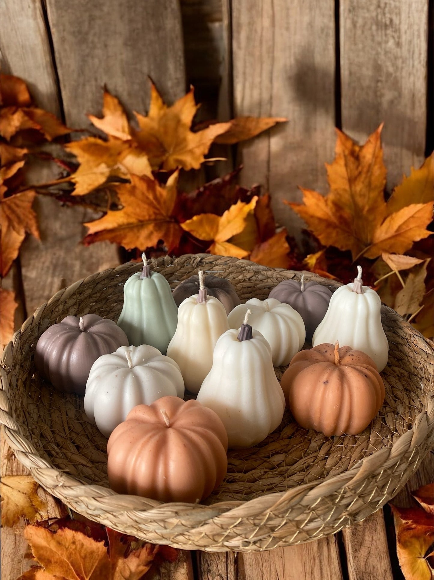 Pack calabazas otoño