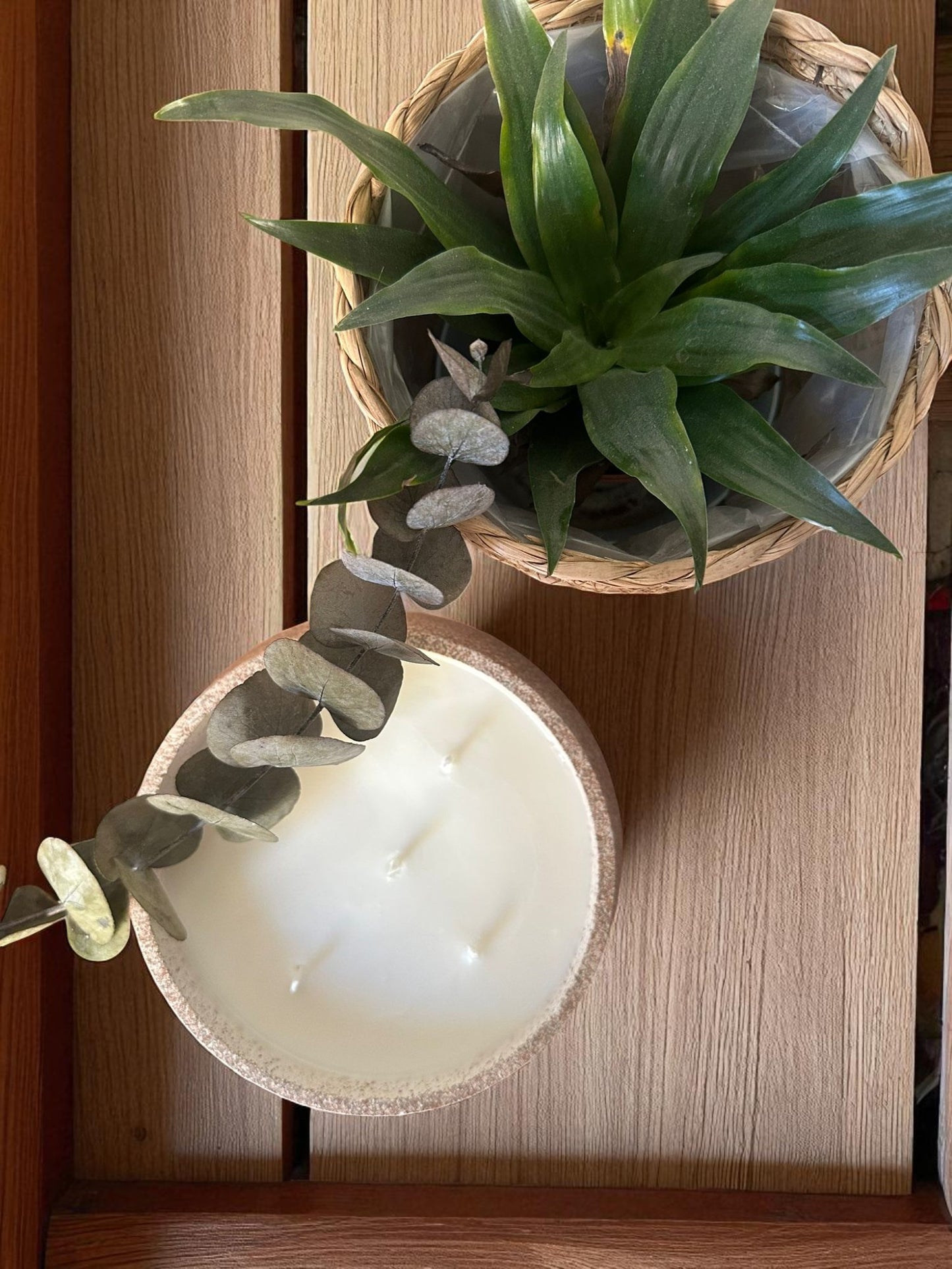 Vela XL Citronela