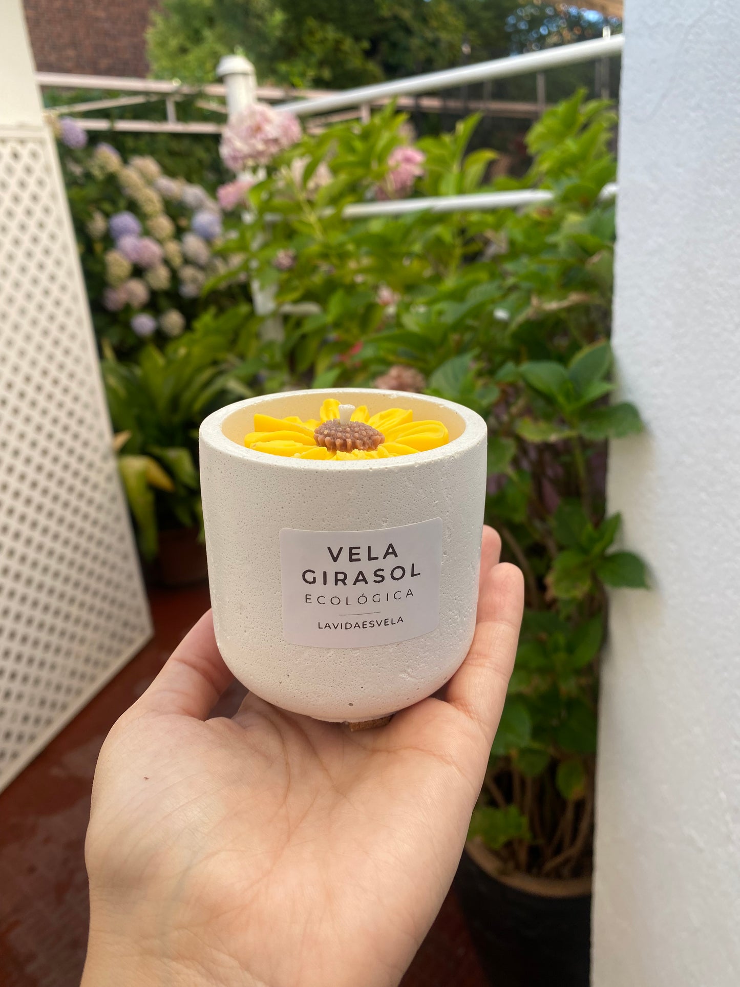 Vela Pequeño Cultivo