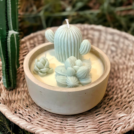 Vela terrario