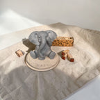 Vela Elefante