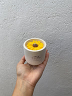 Vela Pequeño Cultivo