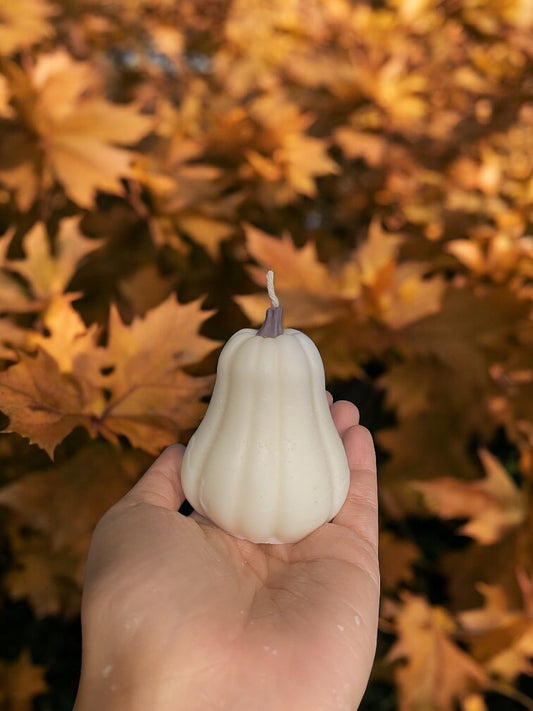 Calabaza violín