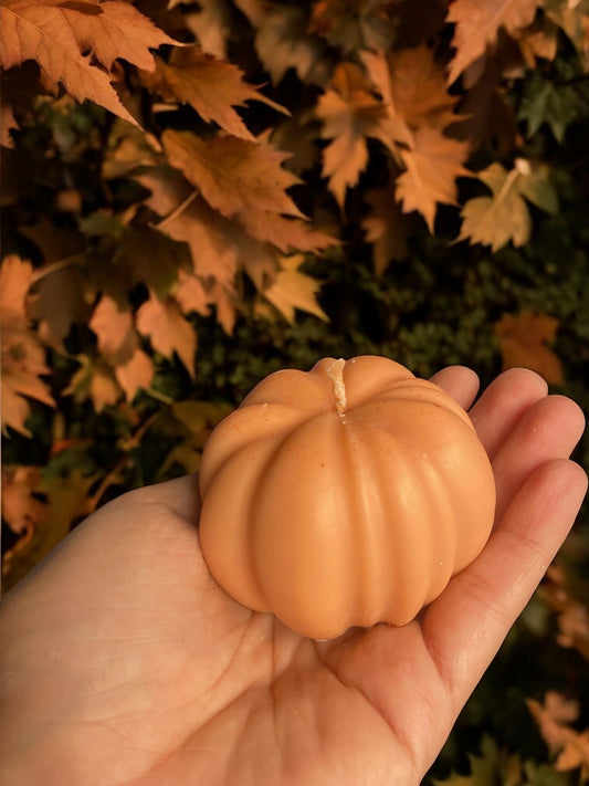 Calabaza pequeña