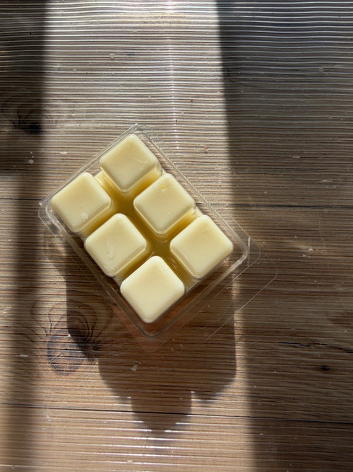 Wax Melts Canela & Naranja