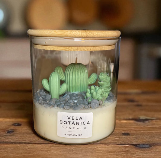 Vela botánica
