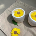 Vela Pequeño Cultivo