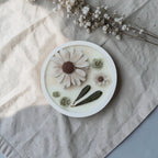 Pack de Primavera