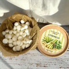 Pack Quemador y Wax Melts Colección de verano