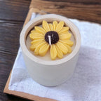 Vela Pequeño Cultivo