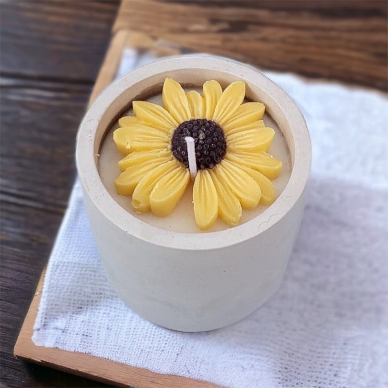Vela Pequeño Cultivo