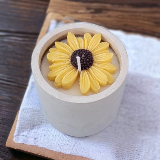 Vela Pequeño Cultivo