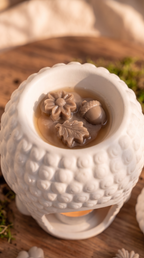 Wax melts Después de la Tormenta