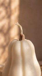 Vela Calabaza Violín