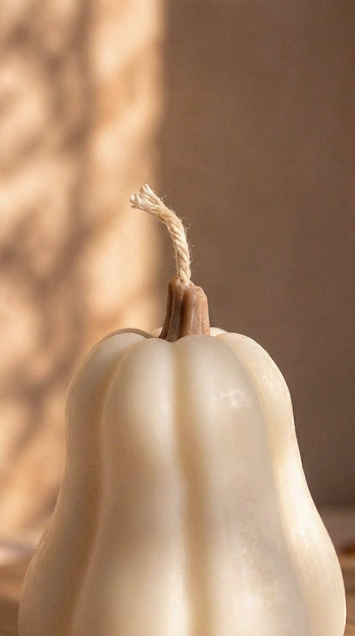 Vela Calabaza Violín