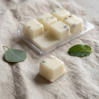 Wax melts Eucalipto & Menta: un cubo suelto delante del envase