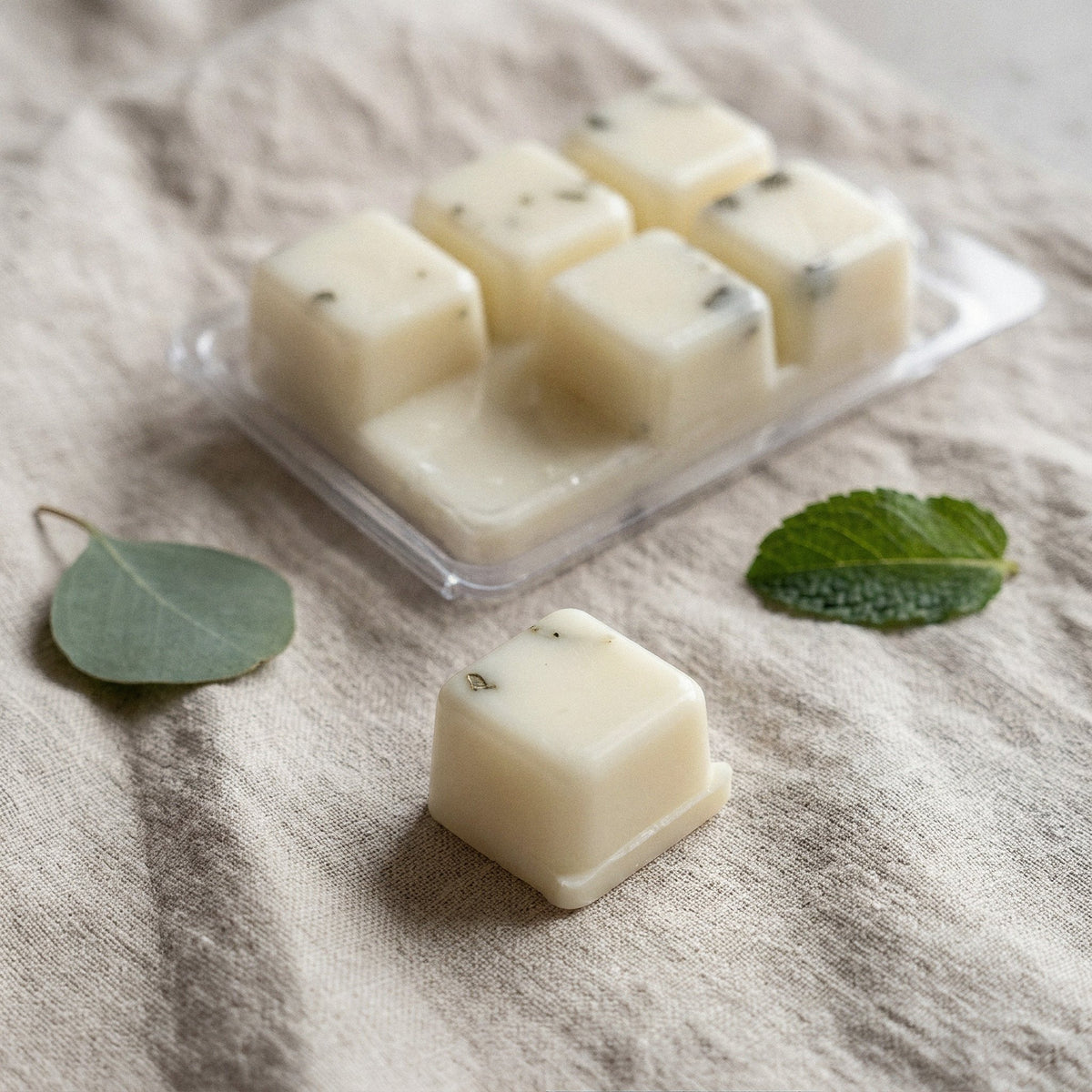 Wax melts Eucalipto & Menta: un cubo suelto delante del envase